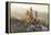 Germany, Bavaria, AllgŠu, Neuschwanstein Castle-Herbert Kehrer-Framed Premier Image Canvas