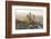 Germany, Bavaria, AllgŠu, Neuschwanstein Castle-Herbert Kehrer-Framed Photographic Print