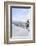 Germany, Bavaria, AllgŠu, Neuschwanstein Castle-Herbert Kehrer-Framed Photographic Print