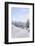 Germany, Bavaria, AllgŠu, Neuschwanstein Castle-Herbert Kehrer-Framed Photographic Print