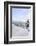 Germany, Bavaria, AllgŠu, Neuschwanstein Castle-Herbert Kehrer-Framed Photographic Print