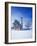 Germany, Bavaria, AllgŠu, Schwangau, Pilgrimage Church Saint Coloman-Herbert Kehrer-Framed Photographic Print