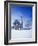 Germany, Bavaria, AllgŠu, Schwangau, Pilgrimage Church Saint Coloman-Herbert Kehrer-Framed Photographic Print