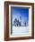 Germany, Bavaria, AllgŠu, Schwangau, Pilgrimage Church Saint Coloman-Herbert Kehrer-Framed Photographic Print