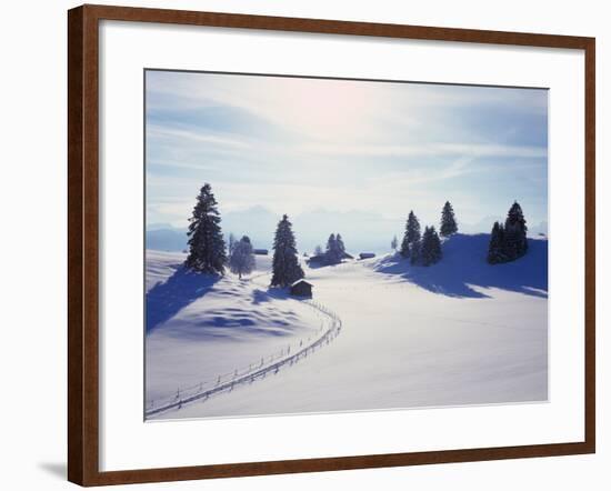 Germany, Bavaria, AllgŠu, Snow Scenery, Back Light, Alps, Mountains, Loneliness, Mountains, Winter-Herbert Kehrer-Framed Photographic Print