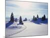 Germany, Bavaria, AllgŠu, Snow Scenery, Back Light, Alps, Mountains, Loneliness, Mountains, Winter-Herbert Kehrer-Mounted Photographic Print