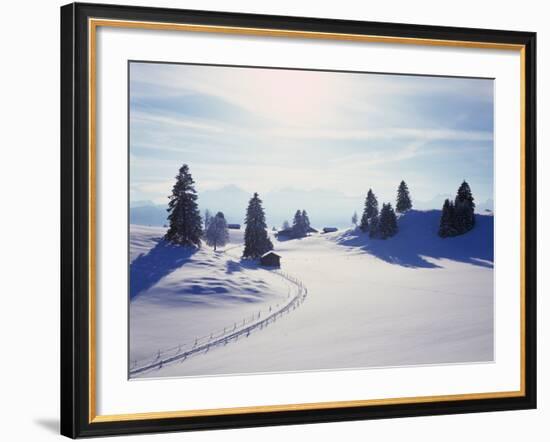 Germany, Bavaria, AllgŠu, Snow Scenery, Back Light, Alps, Mountains, Loneliness, Mountains, Winter-Herbert Kehrer-Framed Photographic Print