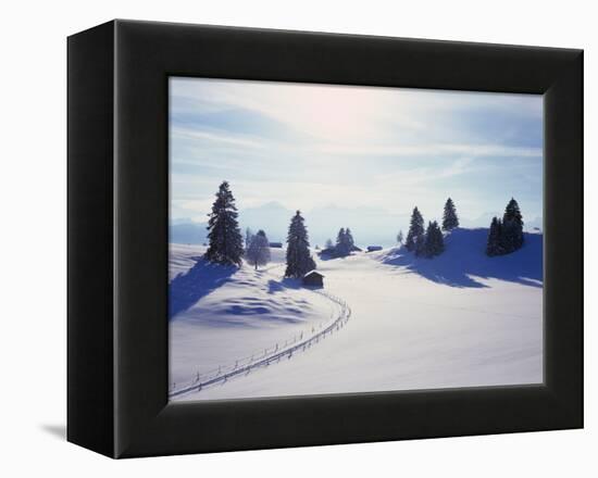 Germany, Bavaria, AllgŠu, Snow Scenery, Back Light, Alps, Mountains, Loneliness, Mountains, Winter-Herbert Kehrer-Framed Premier Image Canvas