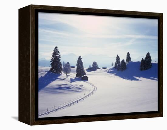 Germany, Bavaria, AllgŠu, Snow Scenery, Back Light, Alps, Mountains, Loneliness, Mountains, Winter-Herbert Kehrer-Framed Premier Image Canvas