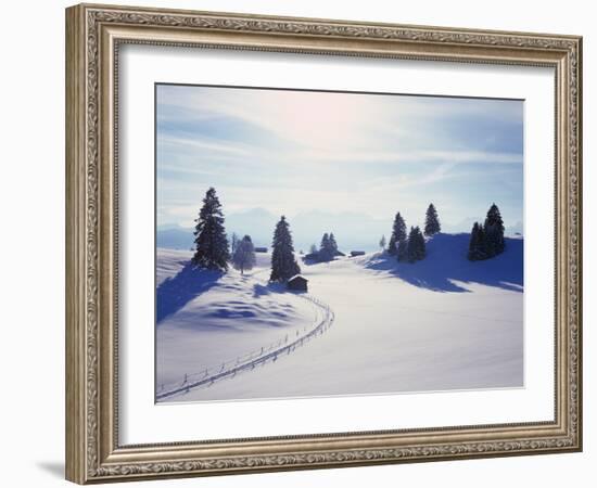 Germany, Bavaria, AllgŠu, Snow Scenery, Back Light, Alps, Mountains, Loneliness, Mountains, Winter-Herbert Kehrer-Framed Photographic Print