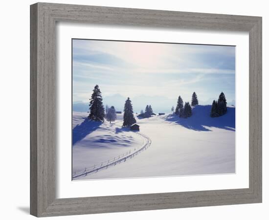 Germany, Bavaria, AllgŠu, Snow Scenery, Back Light, Alps, Mountains, Loneliness, Mountains, Winter-Herbert Kehrer-Framed Photographic Print