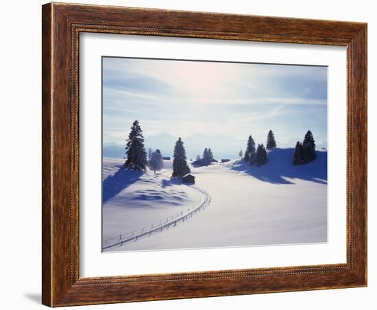 Germany, Bavaria, AllgŠu, Snow Scenery, Back Light, Alps, Mountains, Loneliness, Mountains, Winter-Herbert Kehrer-Framed Photographic Print