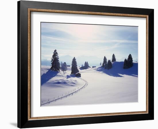 Germany, Bavaria, AllgŠu, Snow Scenery, Back Light, Alps, Mountains, Loneliness, Mountains, Winter-Herbert Kehrer-Framed Photographic Print