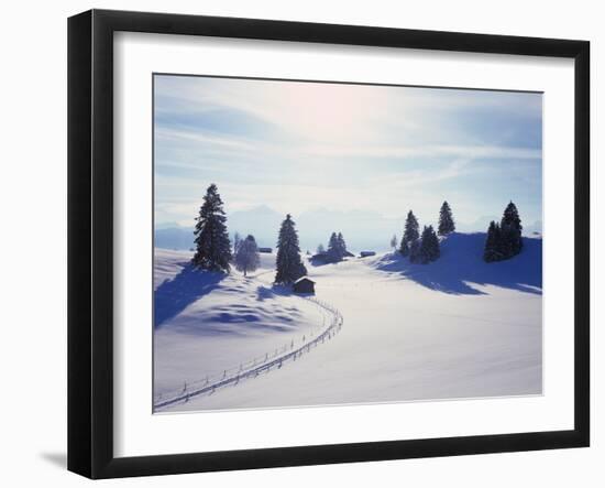 Germany, Bavaria, AllgŠu, Snow Scenery, Back Light, Alps, Mountains, Loneliness, Mountains, Winter-Herbert Kehrer-Framed Photographic Print