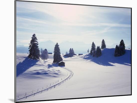 Germany, Bavaria, AllgŠu, Snow Scenery, Back Light, Alps, Mountains, Loneliness, Mountains, Winter-Herbert Kehrer-Mounted Photographic Print