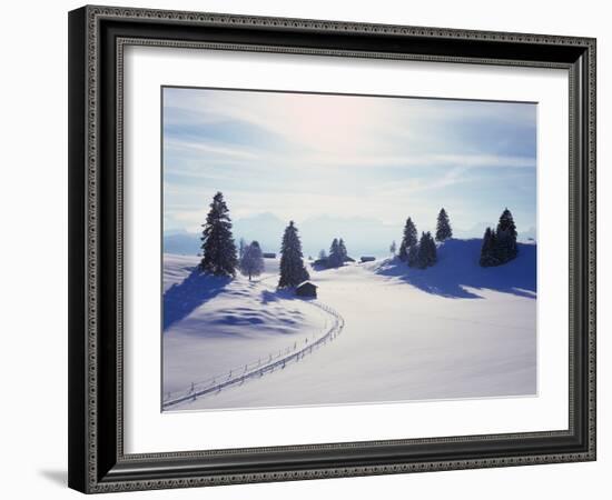 Germany, Bavaria, AllgŠu, Snow Scenery, Back Light, Alps, Mountains, Loneliness, Mountains, Winter-Herbert Kehrer-Framed Photographic Print