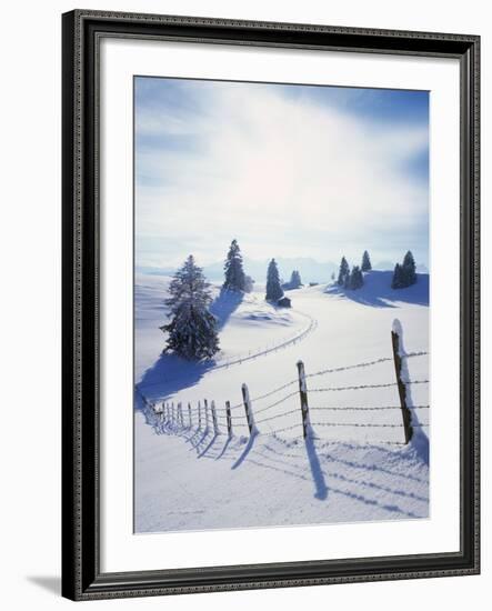 Germany, Bavaria, AllgŠu, Snow Scenery, Back Light, Alps, Mountains, Loneliness, Mountains, Winter-Herbert Kehrer-Framed Photographic Print