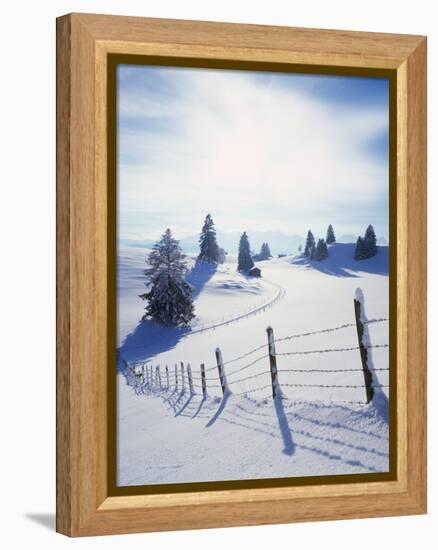 Germany, Bavaria, AllgŠu, Snow Scenery, Back Light, Alps, Mountains, Loneliness, Mountains, Winter-Herbert Kehrer-Framed Premier Image Canvas