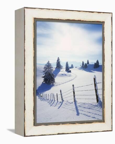 Germany, Bavaria, AllgŠu, Snow Scenery, Back Light, Alps, Mountains, Loneliness, Mountains, Winter-Herbert Kehrer-Framed Premier Image Canvas