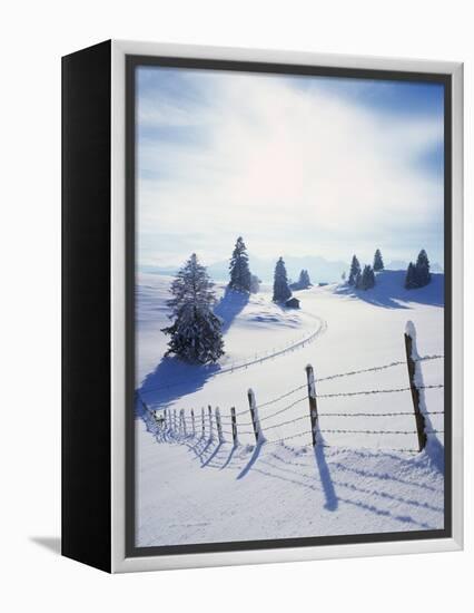 Germany, Bavaria, AllgŠu, Snow Scenery, Back Light, Alps, Mountains, Loneliness, Mountains, Winter-Herbert Kehrer-Framed Premier Image Canvas