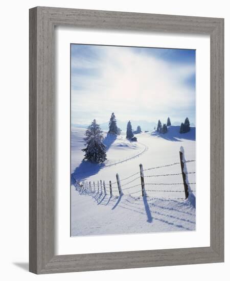 Germany, Bavaria, AllgŠu, Snow Scenery, Back Light, Alps, Mountains, Loneliness, Mountains, Winter-Herbert Kehrer-Framed Photographic Print