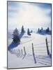 Germany, Bavaria, AllgŠu, Snow Scenery, Back Light, Alps, Mountains, Loneliness, Mountains, Winter-Herbert Kehrer-Mounted Photographic Print