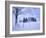 Germany, Bavaria, AllgŠu, Snow Scenery, Trees-Herbert Kehrer-Framed Photographic Print