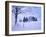 Germany, Bavaria, AllgŠu, Snow Scenery, Trees-Herbert Kehrer-Framed Photographic Print