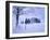 Germany, Bavaria, AllgŠu, Snow Scenery, Trees-Herbert Kehrer-Framed Photographic Print