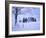 Germany, Bavaria, AllgŠu, Snow Scenery, Trees-Herbert Kehrer-Framed Photographic Print