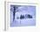 Germany, Bavaria, AllgŠu, Snow Scenery, Trees-Herbert Kehrer-Framed Photographic Print