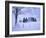 Germany, Bavaria, AllgŠu, Snow Scenery, Trees-Herbert Kehrer-Framed Photographic Print