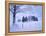 Germany, Bavaria, AllgŠu, Snow Scenery, Trees-Herbert Kehrer-Framed Premier Image Canvas