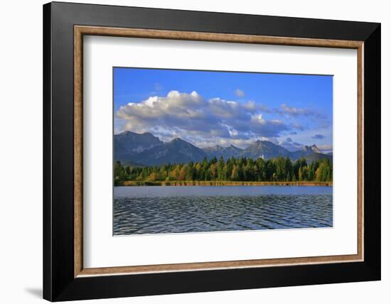 Germany, Bavaria, Autumn Morning, 'Hopfensee' (Lake), 'OstallgŠu' (District-Uwe Steffens-Framed Photographic Print