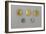 Germany, Bavaria, Celtic Coins, Gold and Silver-null-Framed Giclee Print