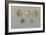 Germany, Bavaria, Celtic Coins, Gold and Silver-null-Framed Giclee Print