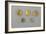 Germany, Bavaria, Celtic Coins, Gold and Silver-null-Framed Giclee Print