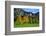 Germany, Bavaria, Cloudless Autumn Day, Schwangau Near FŸssen, Autumn Colors-Uwe Steffens-Framed Photographic Print