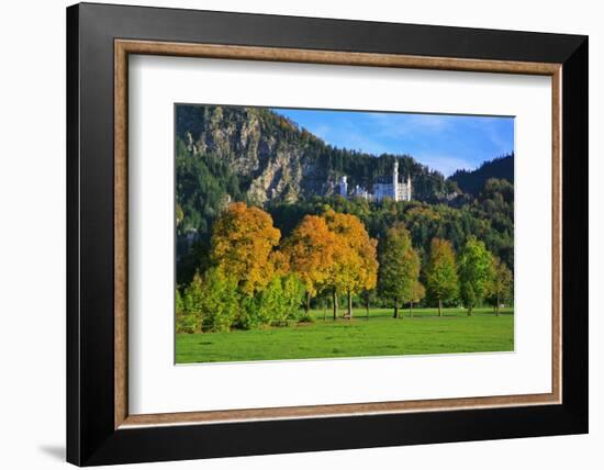 Germany, Bavaria, Cloudless Autumn Day, Schwangau Near FŸssen, Autumn Colors-Uwe Steffens-Framed Photographic Print