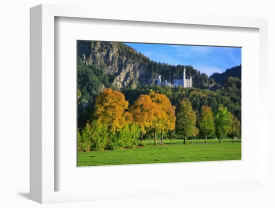 Germany, Bavaria, Cloudless Autumn Day, Schwangau Near FŸssen, Autumn Colors-Uwe Steffens-Framed Photographic Print
