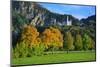 Germany, Bavaria, Cloudless Autumn Day, Schwangau Near FŸssen, Autumn Colors-Uwe Steffens-Mounted Photographic Print