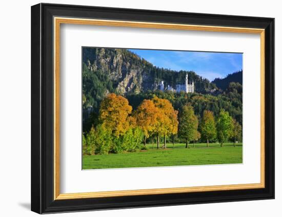 Germany, Bavaria, Cloudless Autumn Day, Schwangau Near FŸssen, Autumn Colors-Uwe Steffens-Framed Photographic Print