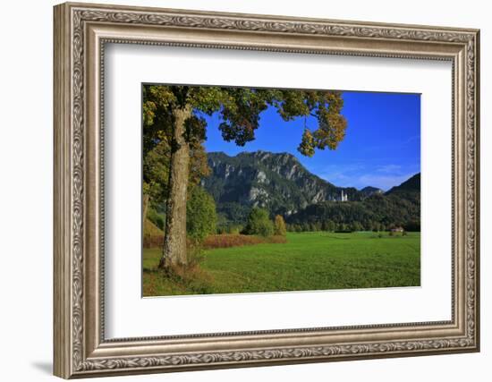 Germany, Bavaria, Cloudless Autumn Day, Schwangau Near FŸssen, Neuschwanstein Castle-Uwe Steffens-Framed Photographic Print