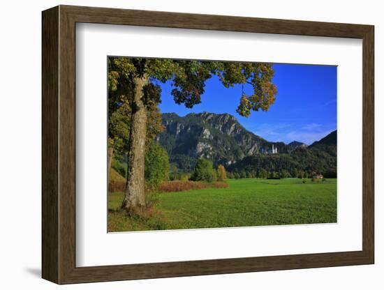 Germany, Bavaria, Cloudless Autumn Day, Schwangau Near FŸssen, Neuschwanstein Castle-Uwe Steffens-Framed Photographic Print