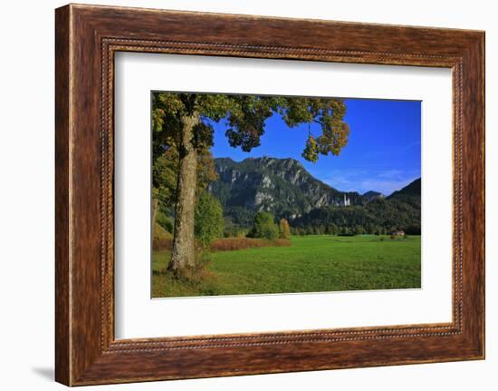 Germany, Bavaria, Cloudless Autumn Day, Schwangau Near FŸssen, Neuschwanstein Castle-Uwe Steffens-Framed Photographic Print