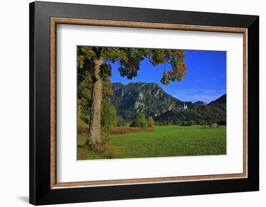 Germany, Bavaria, Cloudless Autumn Day, Schwangau Near FŸssen, Neuschwanstein Castle-Uwe Steffens-Framed Photographic Print