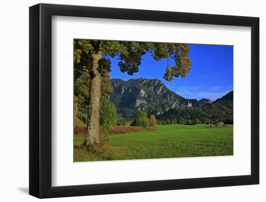 Germany, Bavaria, Cloudless Autumn Day, Schwangau Near FŸssen, Neuschwanstein Castle-Uwe Steffens-Framed Photographic Print