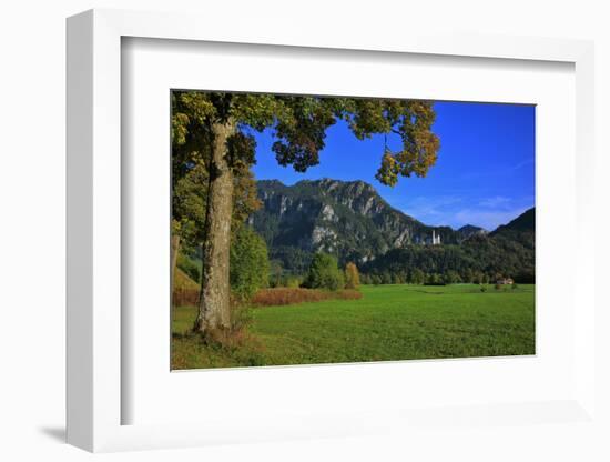 Germany, Bavaria, Cloudless Autumn Day, Schwangau Near FŸssen, Neuschwanstein Castle-Uwe Steffens-Framed Photographic Print