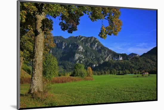 Germany, Bavaria, Cloudless Autumn Day, Schwangau Near FŸssen, Neuschwanstein Castle-Uwe Steffens-Mounted Photographic Print