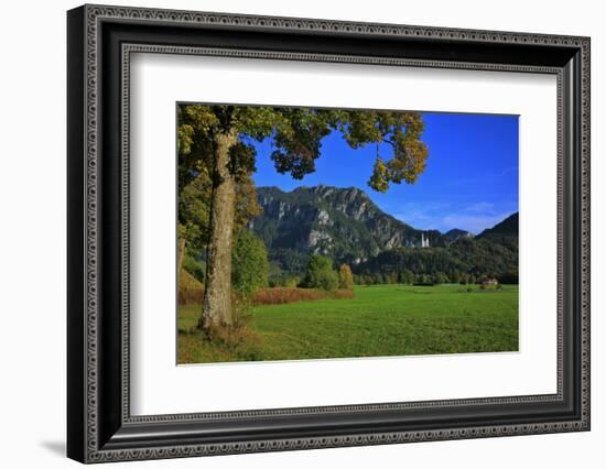 Germany, Bavaria, Cloudless Autumn Day, Schwangau Near FŸssen, Neuschwanstein Castle-Uwe Steffens-Framed Photographic Print